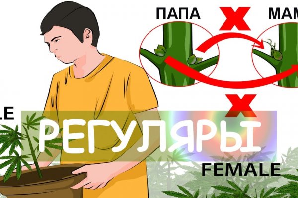 Как зайти на кракен в тор браузере